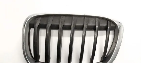 BMW X1 F48 F49 Front grill 7354823