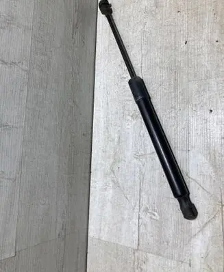 Tailgate/trunk strut/damper