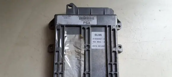 Peugeot 406 Engine control unit/module 216584674 0076481287 9640248480