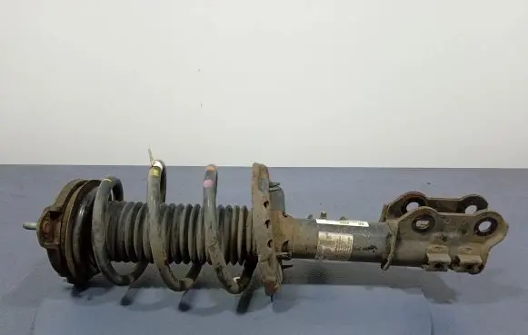 KIA Optima Front shock absorber with coil spring 54660-D4530