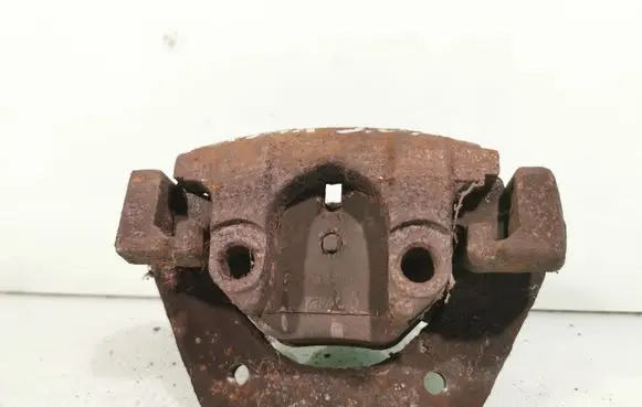 BMW X5 E53 Rear brake caliper