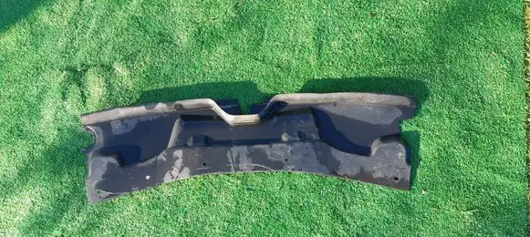 Engine bonnet/hood lock trim molding