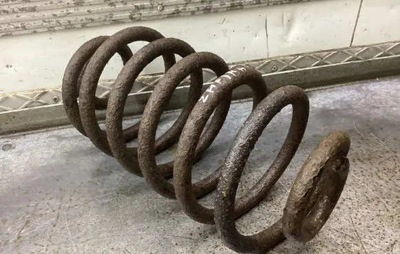 Rear coil spring