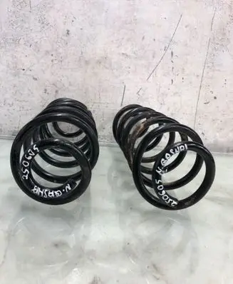 Rear coil spring