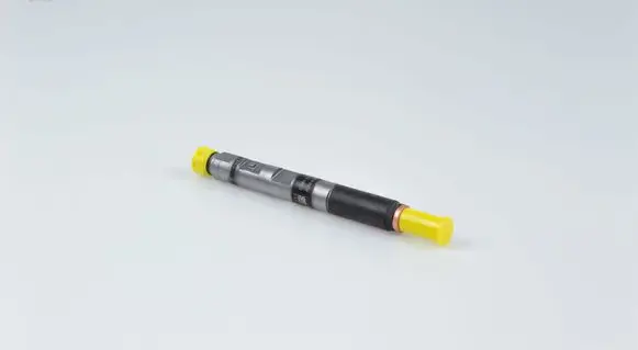 Renault Megane III Fuel injector EJBR05101D