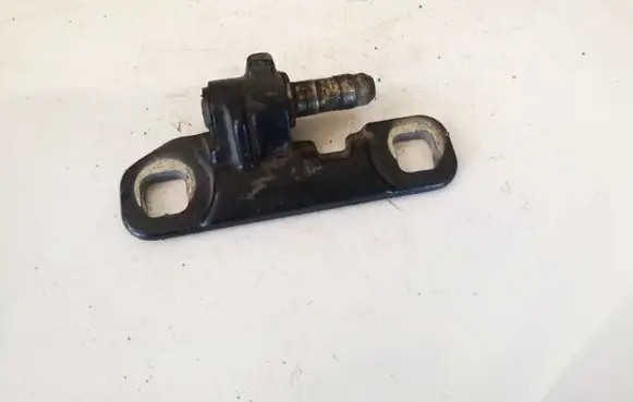 Volvo S70 V70 V70 XC Rear door lower hinge