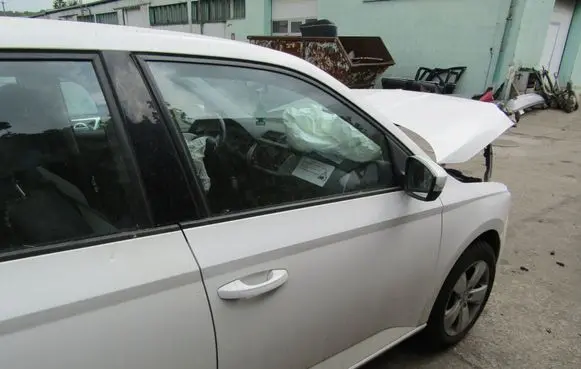Skoda Fabia Mk3 (NJ) Front door 