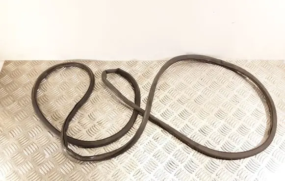 Volvo S60 Rubber seal rear door 31479117