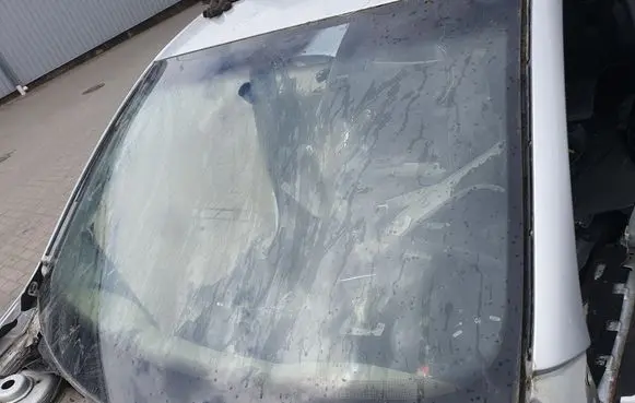 Volkswagen Golf V Front windscreen/windshield window 