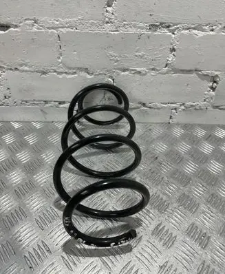 Front coil spring
