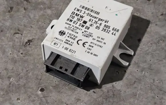 BMW 5 E39 Immobilizer control unit/module 61356905668 05393244 110187