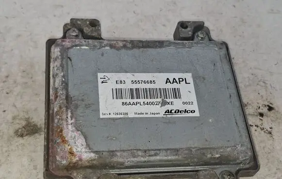 Opel Corsa D Engine control unit/module 55576685 12636386 86AAPL540022U