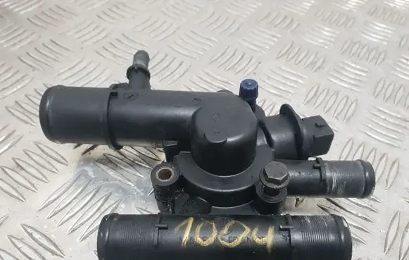 Thermostat/thermostat housing