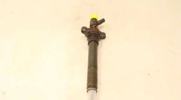 Citroen C5 Fuel injector 9688438580