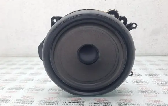 Rear door speaker