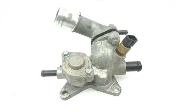 Thermostat/thermostat housing