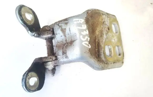 Rear door lower hinge