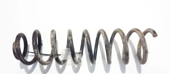 Renault Megane II Rear coil spring