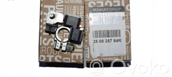 Renault Trafic III (X82) Negative earth cable (battery) 250825784R