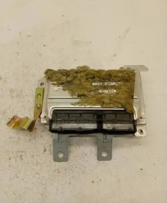 Hyundai Atos Prime Engine control unit/module 3911002BA5