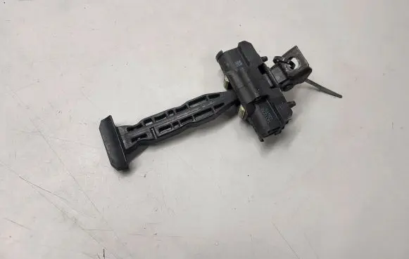 BMW X5 G05 Rear door check strap stopper 7431278