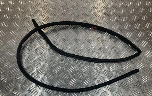 BMW 4 G22 G23 G24 G26 Rubber seal front coupe door TM15503