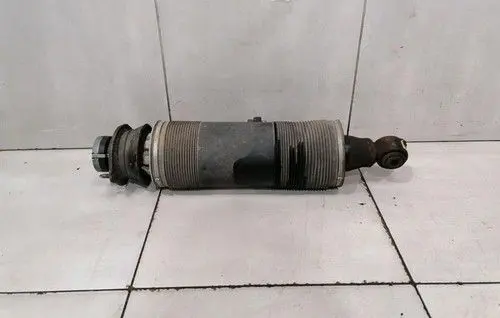 Mercedes-Benz SL R230 Rear shock absorber with coil spring A2303203113