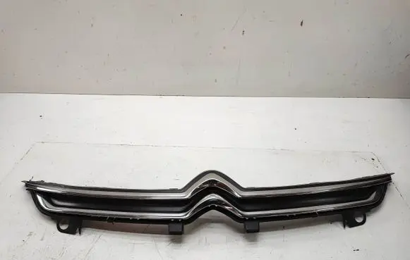 Front bumper upper radiator grill