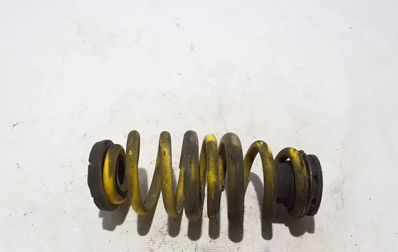 Rear coil spring