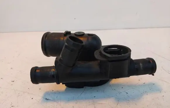 Thermostat/thermostat housing