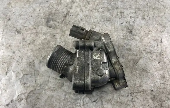 Thermostat/thermostat housing