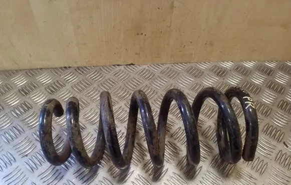 Front coil spring