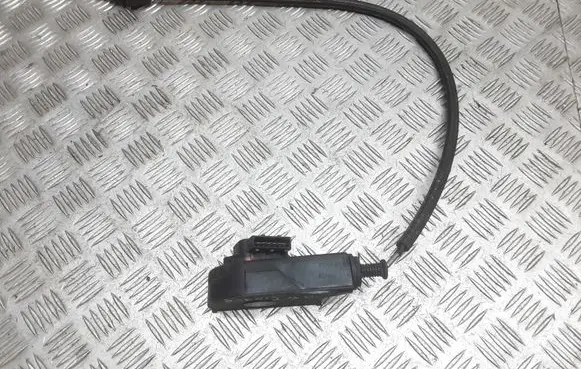 Renault Scenic RX Accelerator pedal position sensor 7700431916