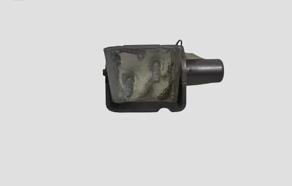 Renault Clio III Rear door lower hinge