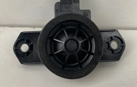 Rear door speaker