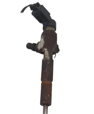 Ford Transit - Tourneo Connect Fuel injector 4M5Q9F593AD LG13 10456