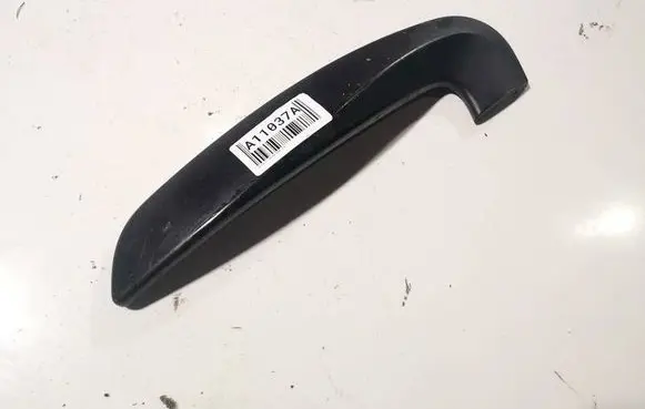 Renault Laguna III Other interior part 809600009r