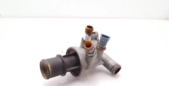 Thermostat/thermostat housing