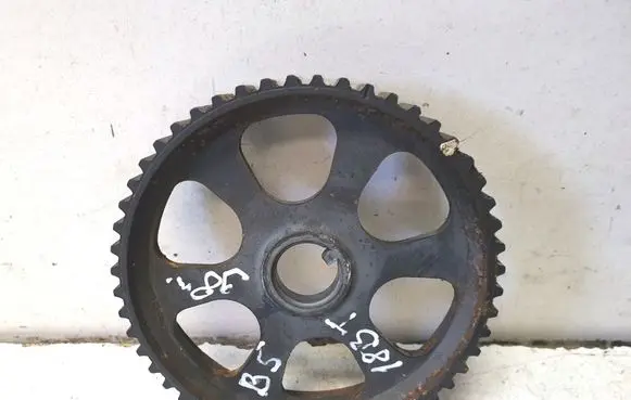 Volkswagen PASSAT B5.5 Timing chain sprocket 027109111H
