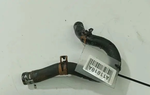 Renault Scenic I Engine coolant pipe/hose 