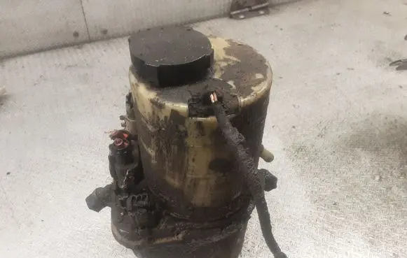 Electric power steering pump
