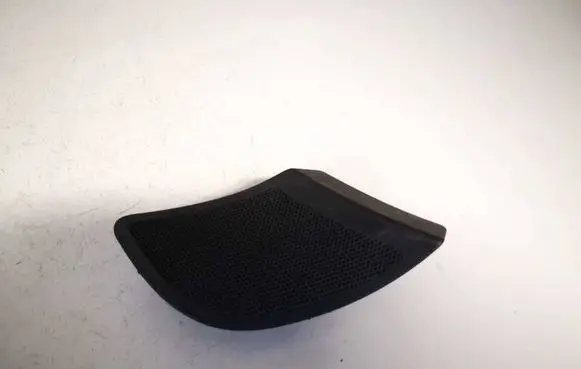Front door speaker