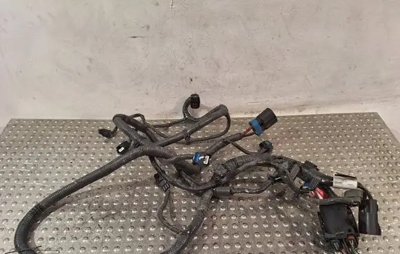 Renault Megane E-Tech Engine installation wiring loom S25081507 240115MZ0A