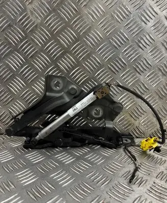 Audi A4 Allroad B9 Engine bonnet/hood hinges 8W0823301E 8W0823823