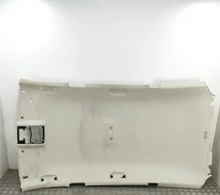 Volkswagen PASSAT B8 Headlining 3G9867501