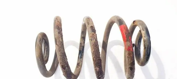 Rear coil spring