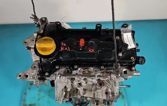 Dacia Sandero III Engine H4DF480 IMPRK1445521