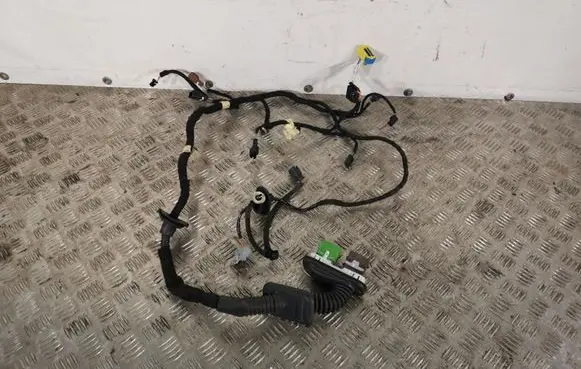 Peugeot 508 Front door wiring loom 9822490880