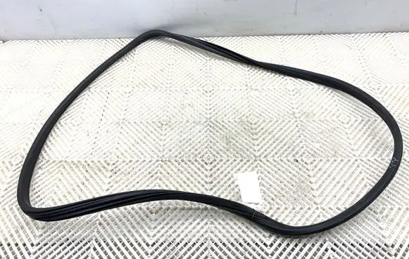 Citroen DS5 Rubber seal front door (on door) 