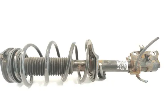 Nissan Qashqai Front shock absorber/damper 54303JD01A 824903002934